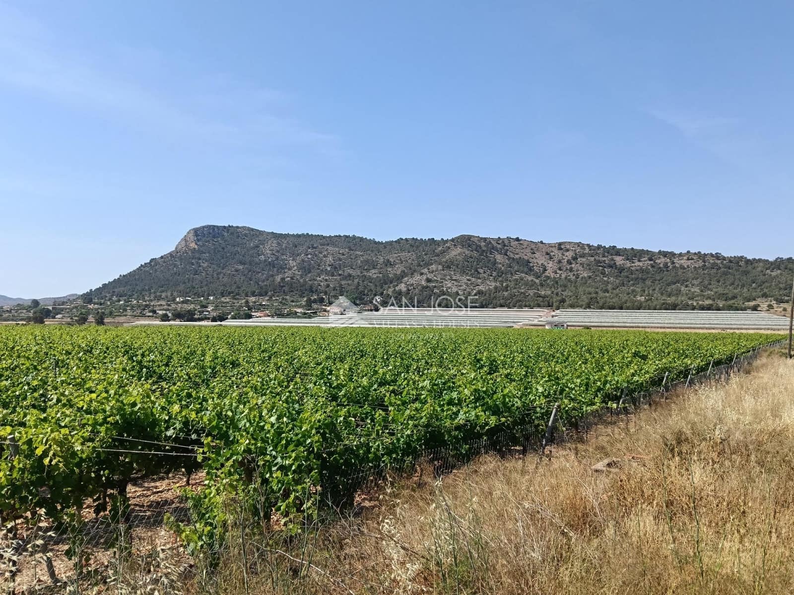 Terreno Não Urbanizado para venda em Aspe - 650 000 € (Ref: 9892562)