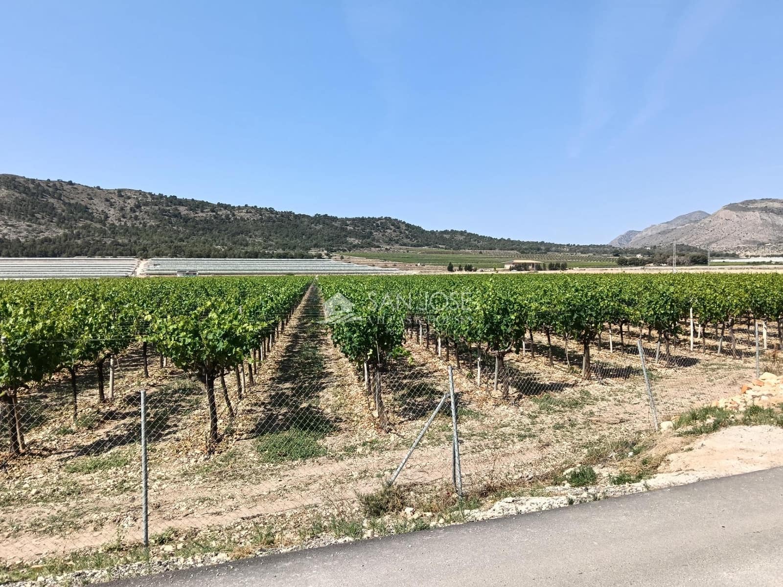 Terreno Não Urbanizado para venda em Aspe - 650 000 € (Ref: 9892562)