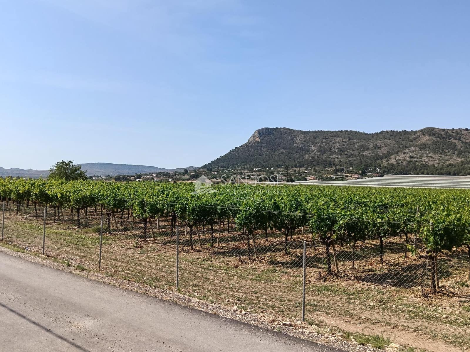 Terreno Não Urbanizado para venda em Aspe - 650 000 € (Ref: 9892562)