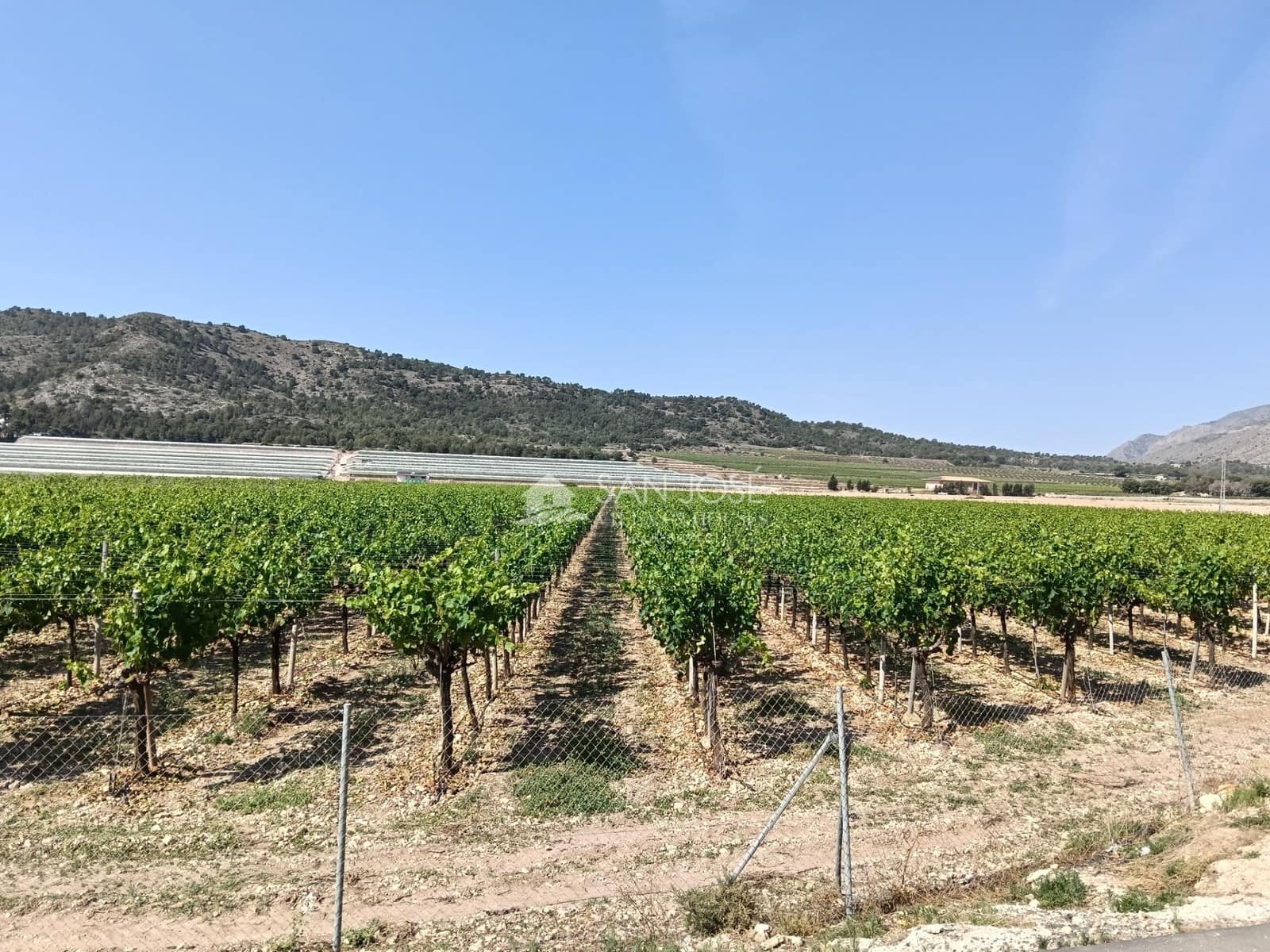 Terreno Não Urbanizado para venda em Aspe - 650 000 € (Ref: 9892562)