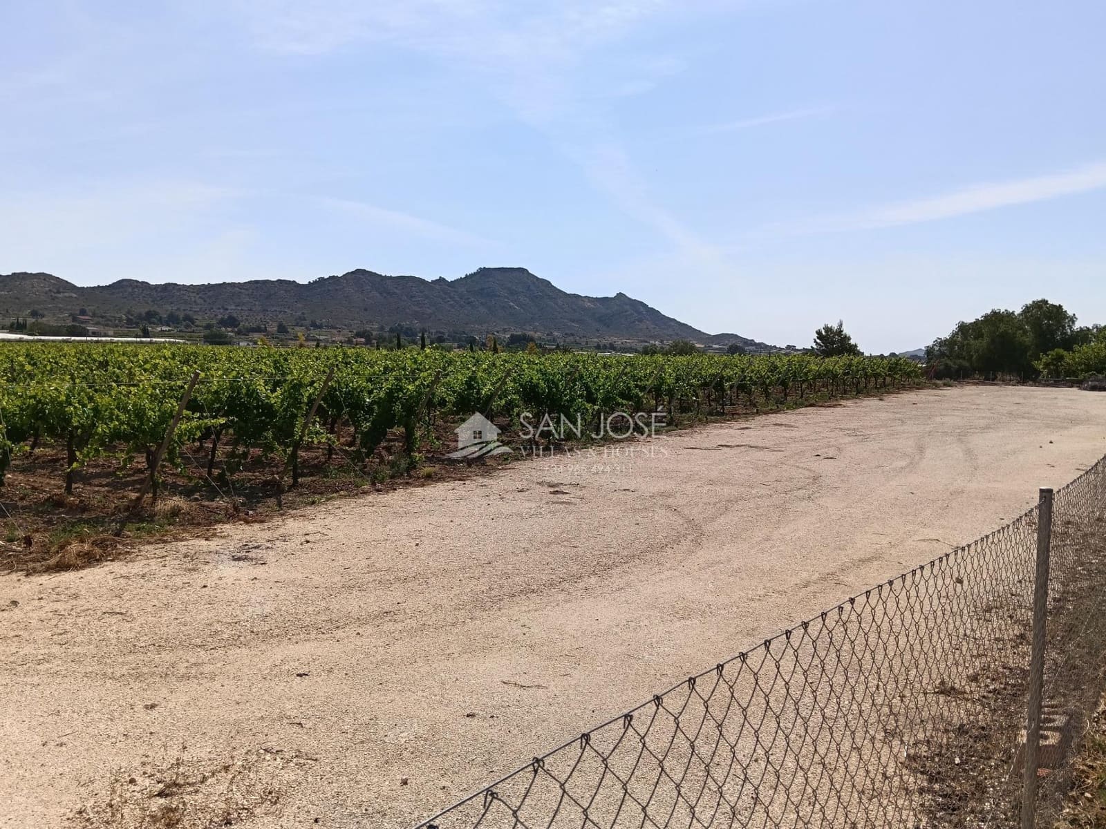 Terreno Não Urbanizado para venda em Aspe - 650 000 € (Ref: 9892562)