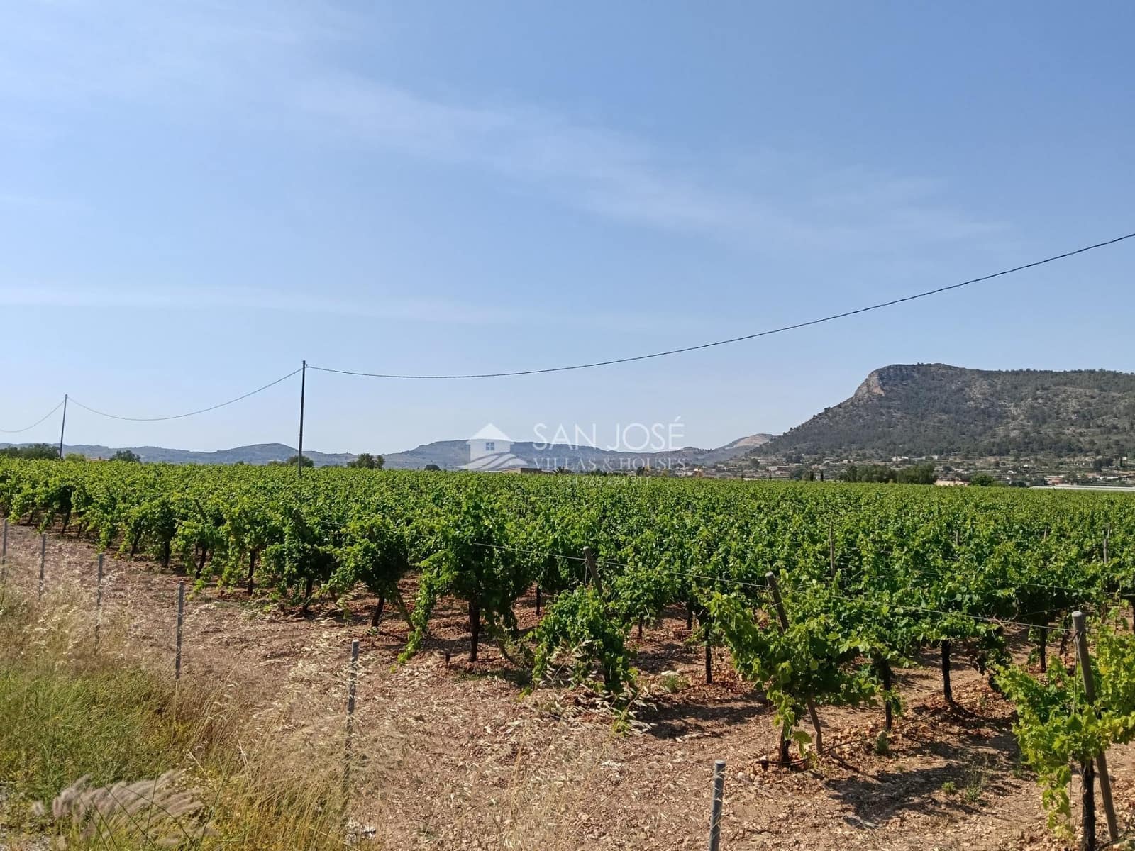Terreno Não Urbanizado para venda em Aspe - 650 000 € (Ref: 9892562)