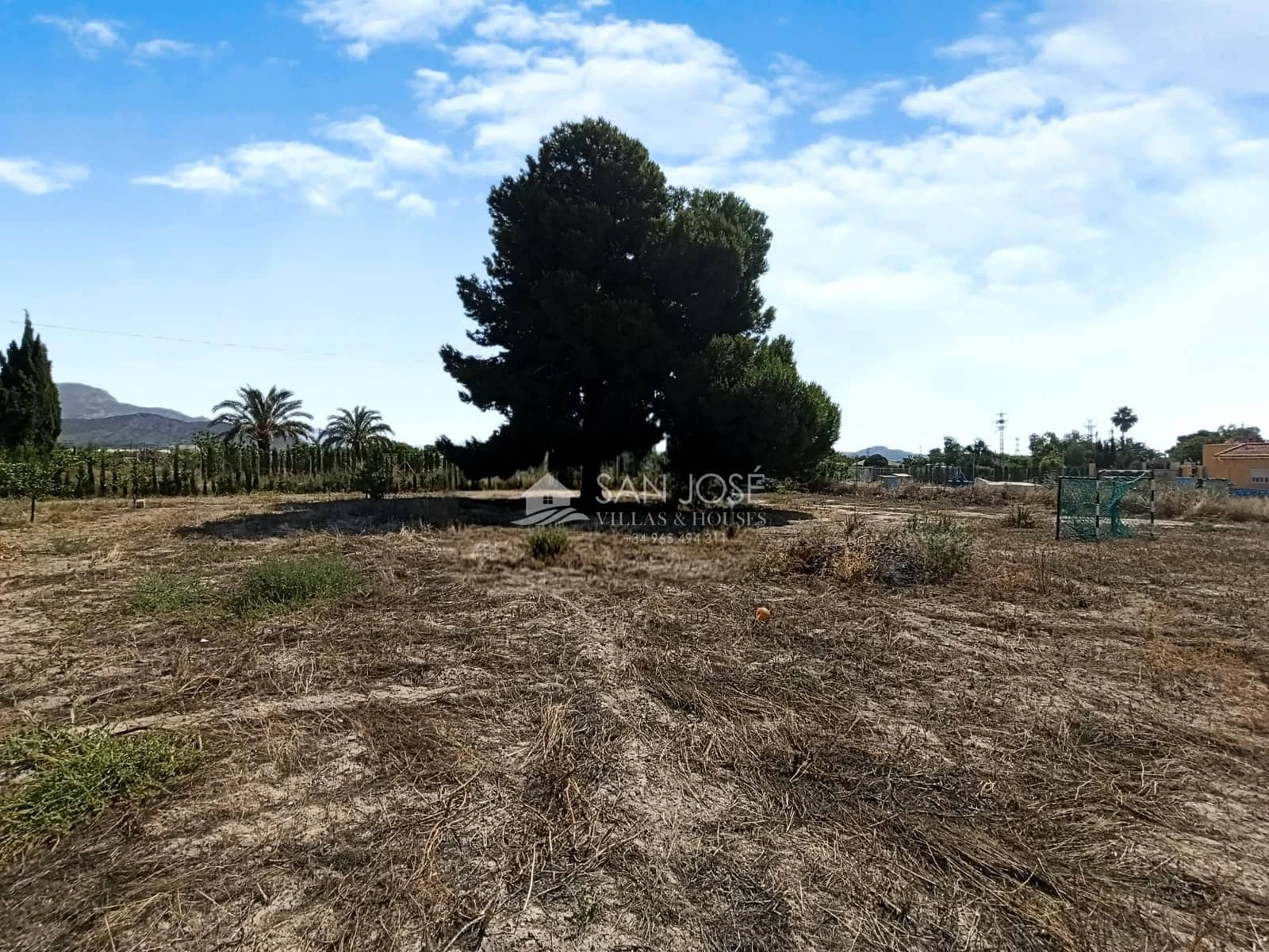 Landgrundstück zu verkaufen in Novelda - 72.000 € (Ref: 9896231)