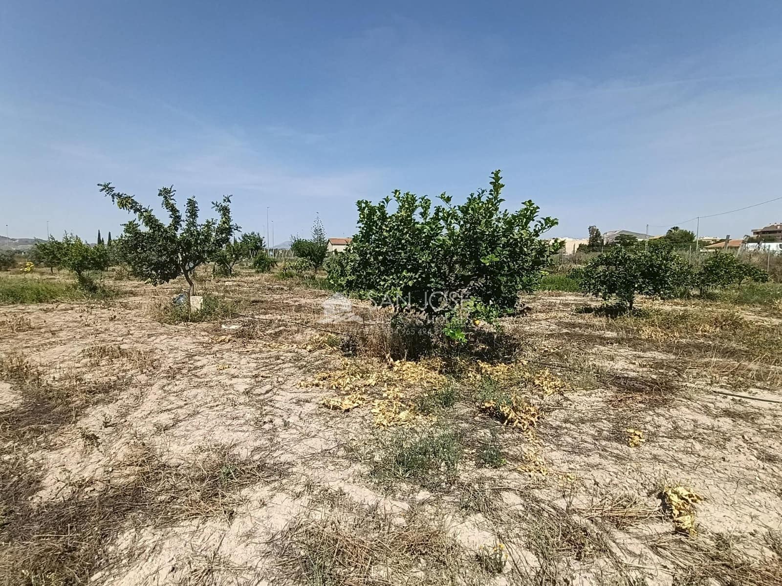 Landgrundstück zu verkaufen in Novelda - 72.000 € (Ref: 9896231)