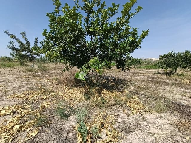 Landgrundstück zu verkaufen in Novelda - 72.000 € (Ref: 9896231)