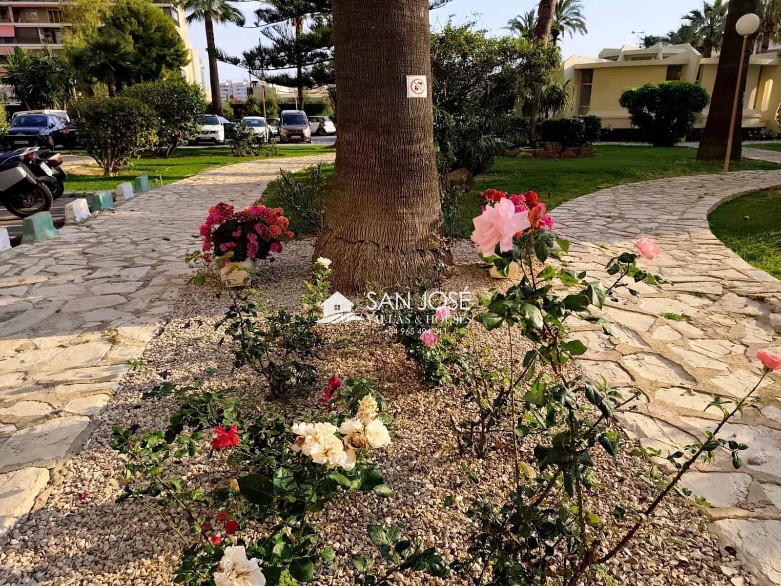 4 Zimmer Wohnung zu verkaufen in Playa de San Juan mit Pool Garage - 620.000 € (Ref: 9899031)