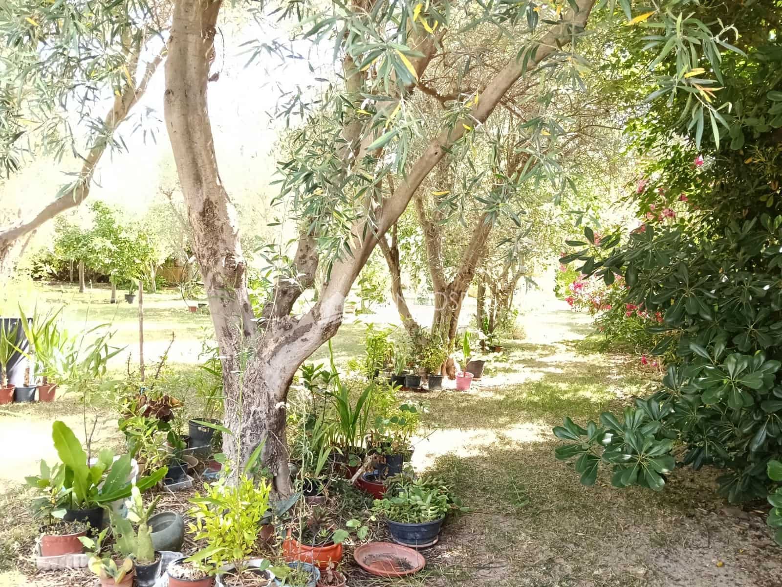 5 quarto Moradia para venda em La Romana com piscina - 276 580 € (Ref: 9934390)