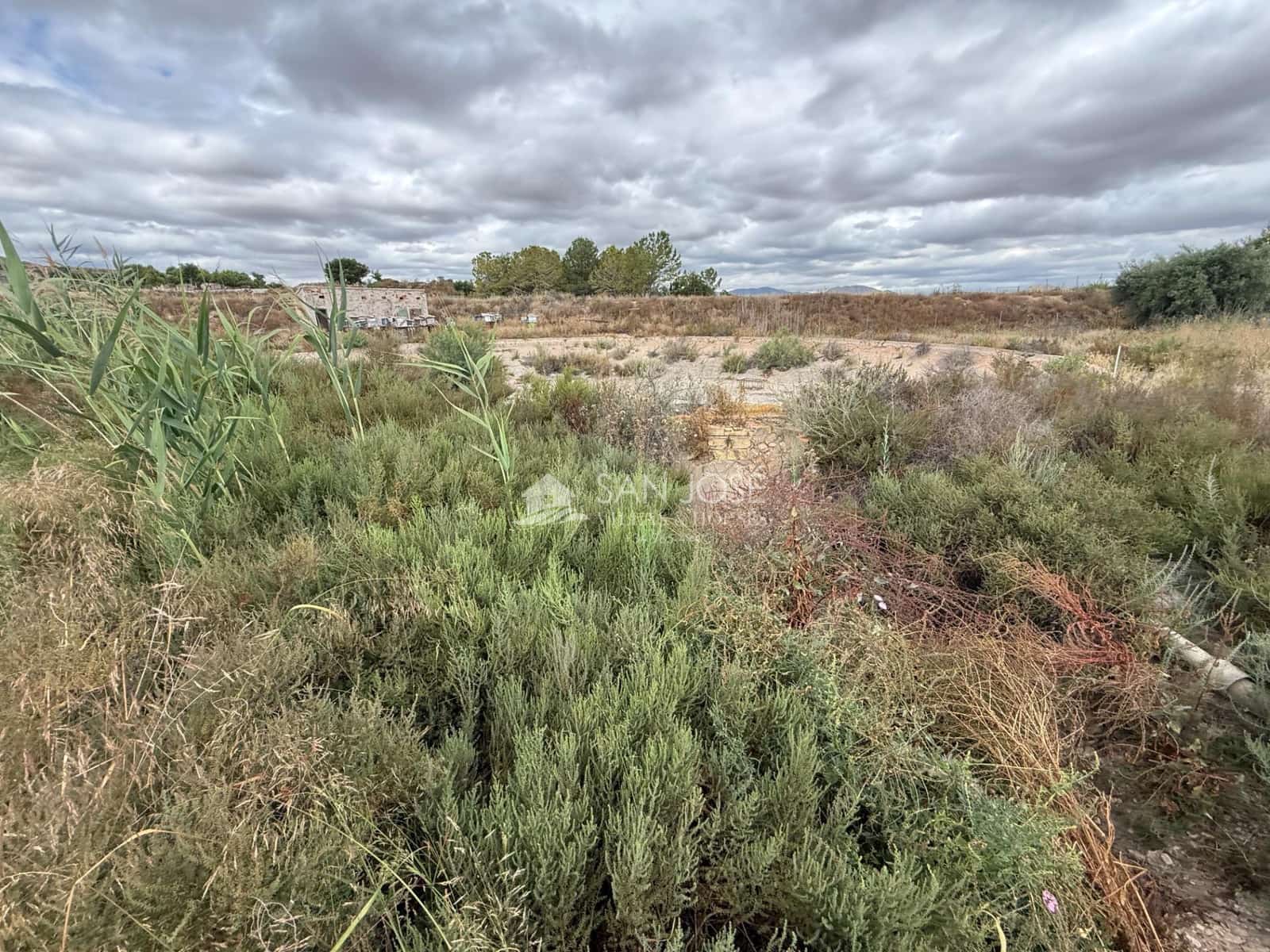 Undeveloped Land for sale in Aspe - € 269,000 (Ref: 9973517)