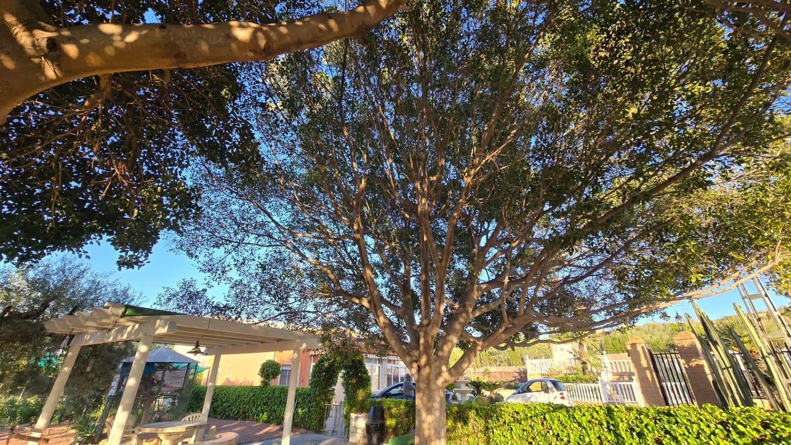 3 chambre Villa/Maison à vendre à Elche / Elx avec piscine garage - 339 900 € (Ref: 9349845)