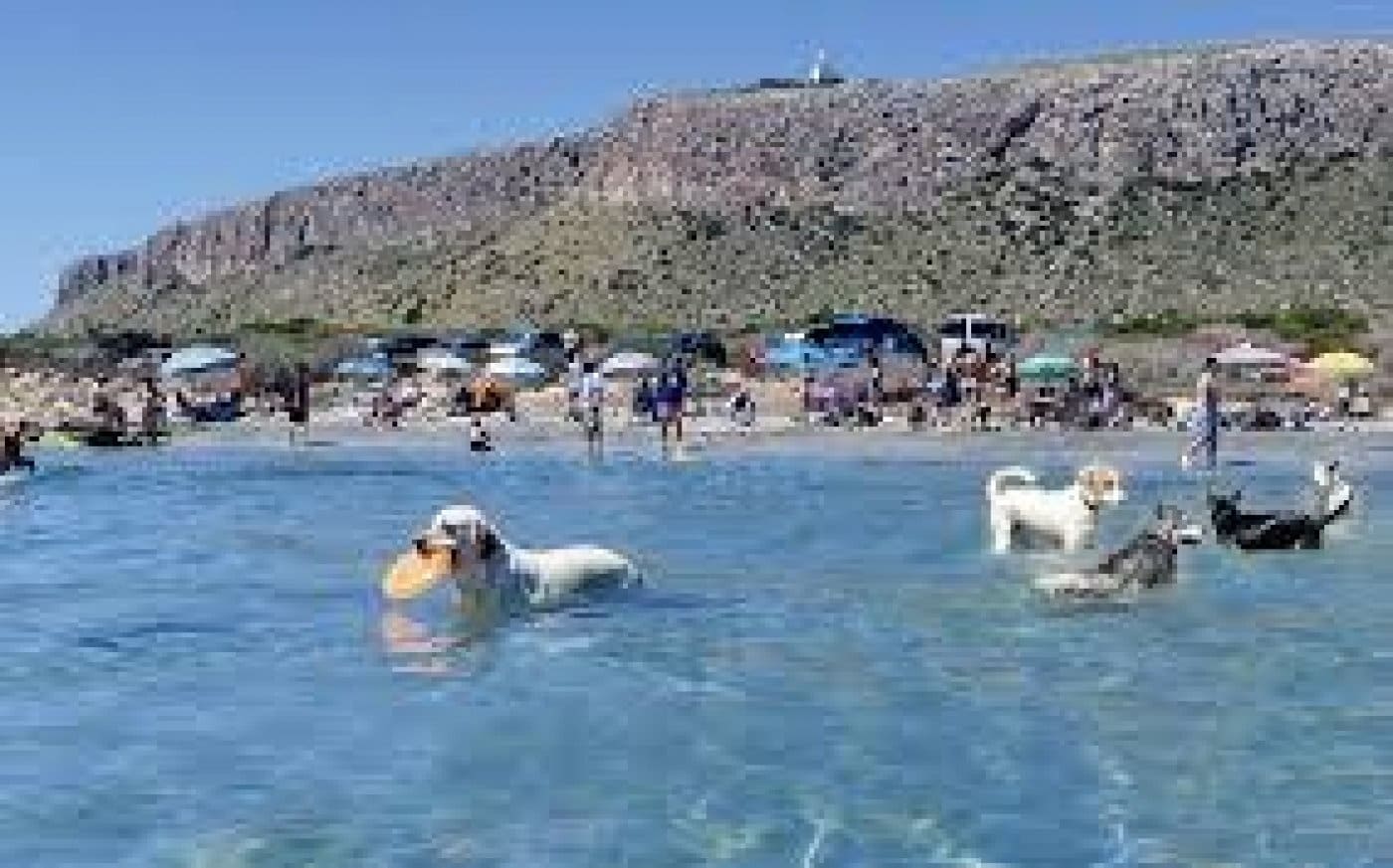 4 soveværelse Bungalow til salg i Santa Pola med swimmingpool garage - € 356.000 (Ref: 9349909)