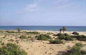 3 bedroom Villa for sale in La Marina with pool - € 455,000 (Ref: 9356017)