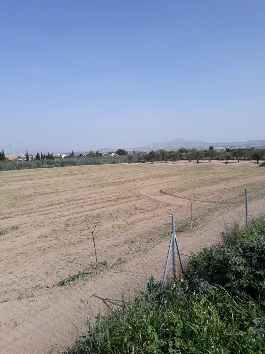 Finca/Casa Rural de 1 habitación en Aspe en venta - 51.000 € (Ref: 9356039)