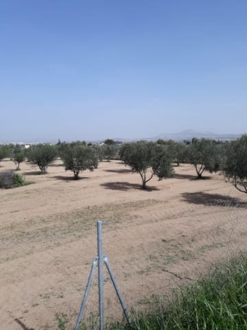 Finca/Casa Rural de 1 habitación en Aspe en venta - 51.000 € (Ref: 9356039)