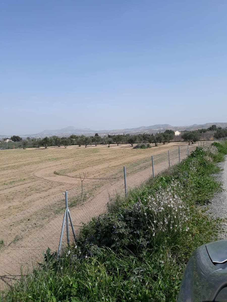 Finca/Casa Rural de 1 habitación en Aspe en venta - 51.000 € (Ref: 9356039)