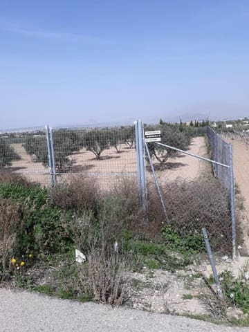 Finca/Casa Rural de 1 habitación en Aspe en venta - 51.000 € (Ref: 9356039)