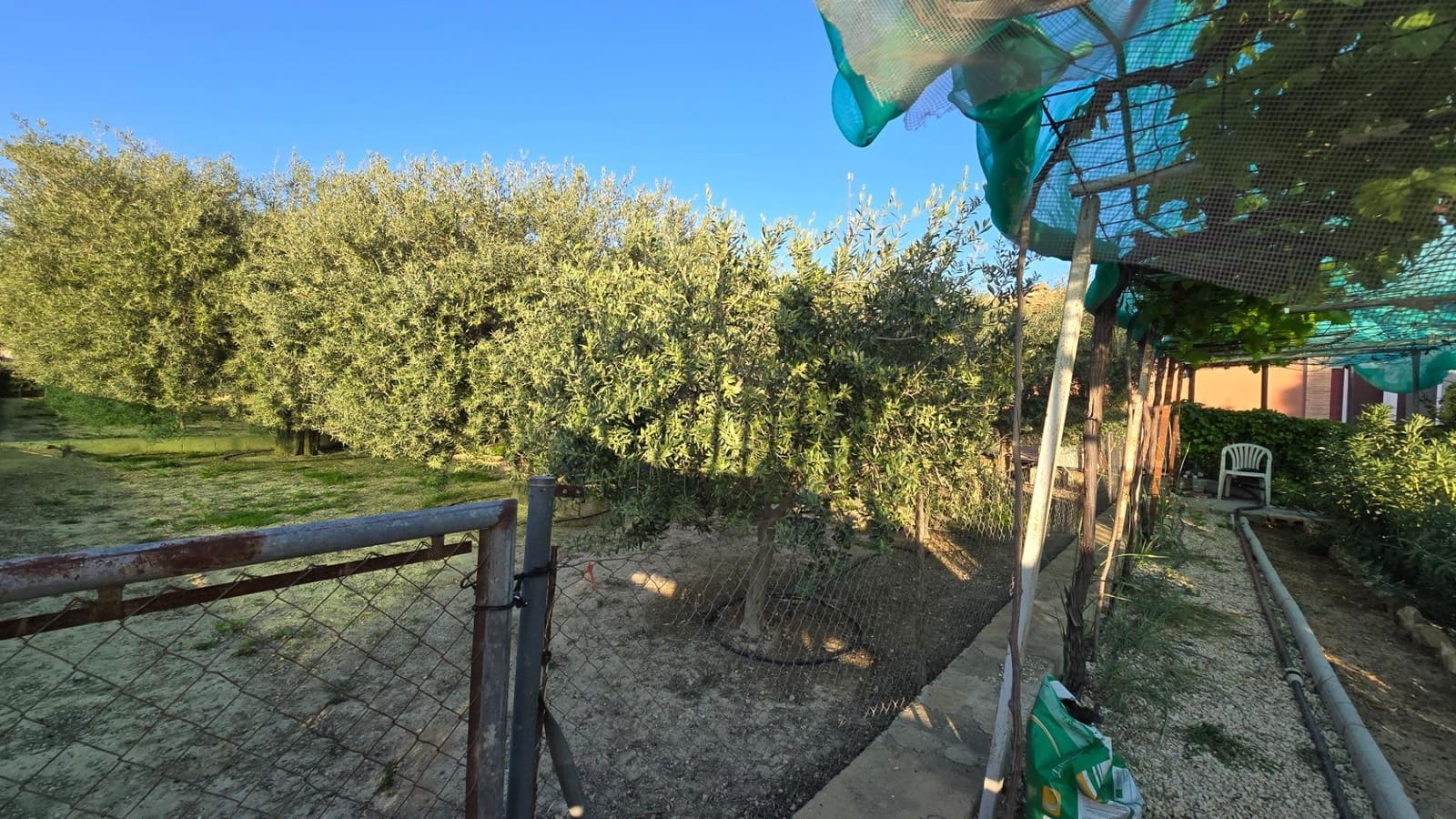 3 quarto Moradia para venda em Elche / Elx com piscina garagem - 339 900 € (Ref: 9376744)