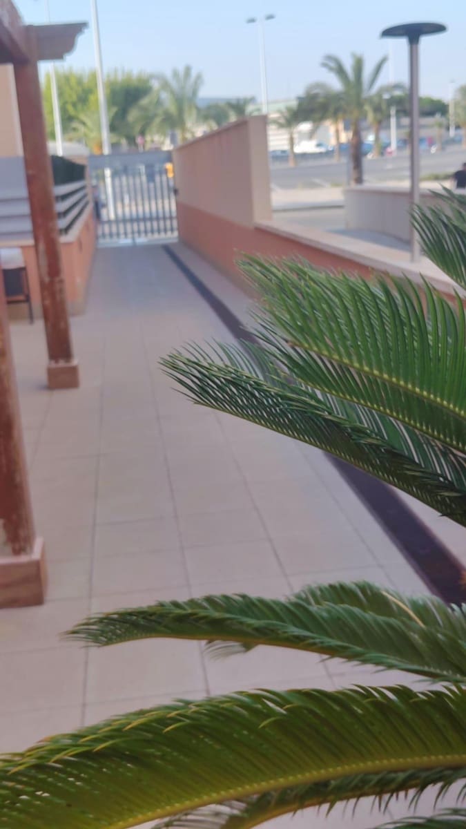 3 chambre Penthouse à vendre à Elche / Elx avec piscine garage - 256 000 € (Ref: 9382723)