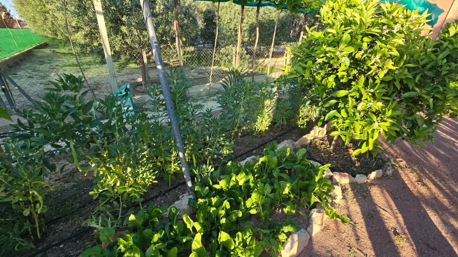 3 chambre Villa/Maison à vendre à Perleta avec piscine garage - 339 900 € (Ref: 9393317)