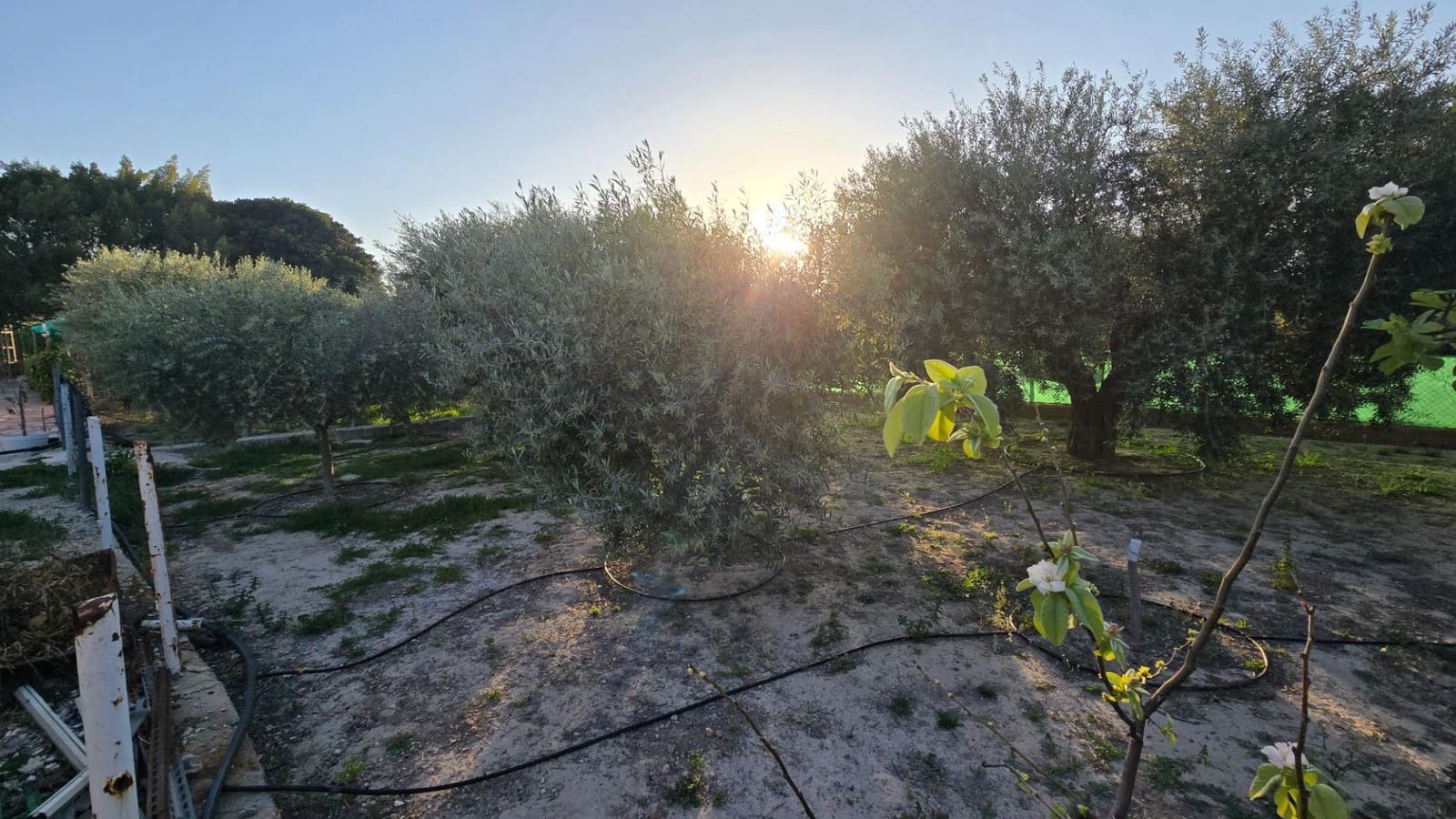 3 quarto Moradia para venda em Matola com piscina garagem - 339 900 € (Ref: 9393318)