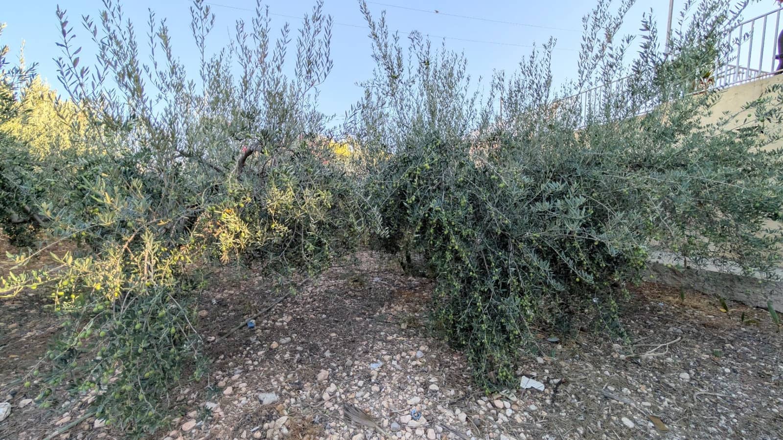 5 quarto Moradia para venda em Albatera com piscina garagem - 299 000 € (Ref: 9470965)