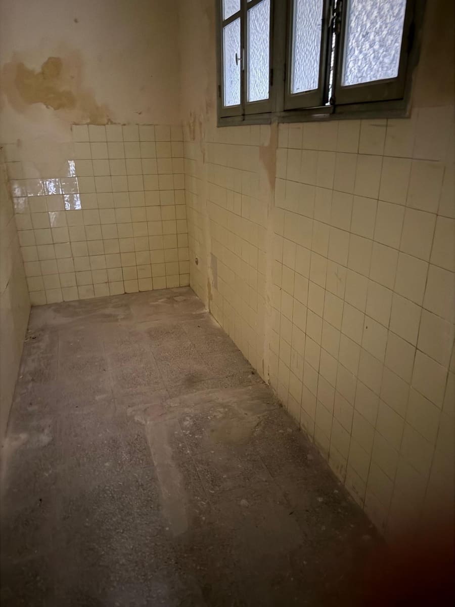 Negocio en Elche / Elx en venta - 350.000 € (Ref: 9509161)