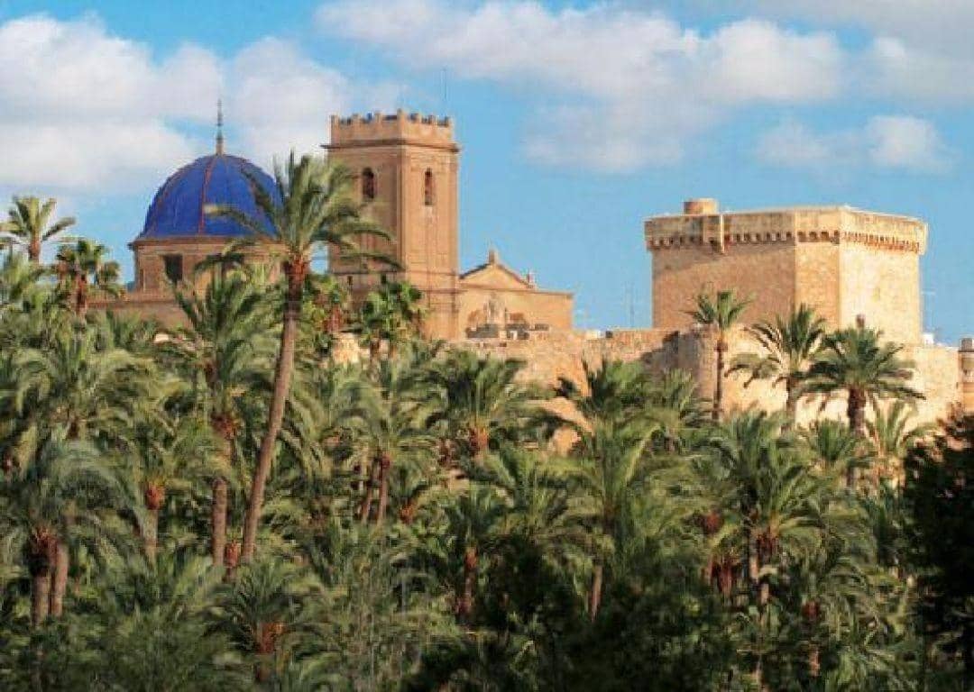 Piso de 3 habitaciones en Elche / Elx en venta - 116.000 € (Ref: 9536813)