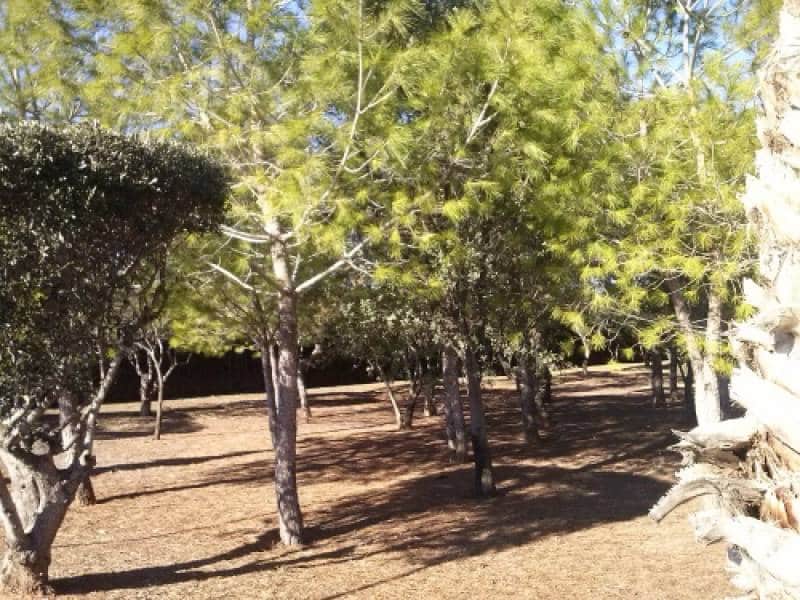 5 soveværelse Villa til salg i Navarres med garage - € 380.000 (Ref: 3139107)