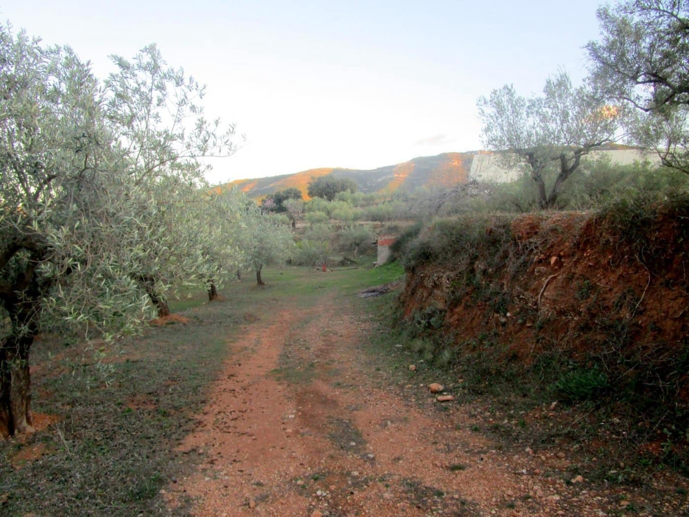 Grunde uden byggetilladelser til salg i Moixent - € 30.000 (Ref: 6181873)