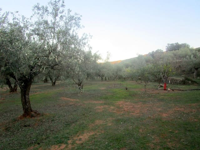 Rakentamaton maa myytävänä paikassa Moixent - 30 000 € (Ref: 6181873)