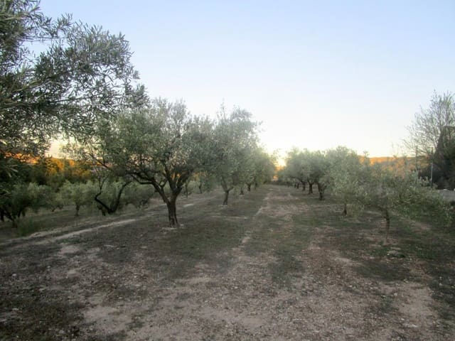 Rakentamaton maa myytävänä paikassa Moixent - 30 000 € (Ref: 6181873)