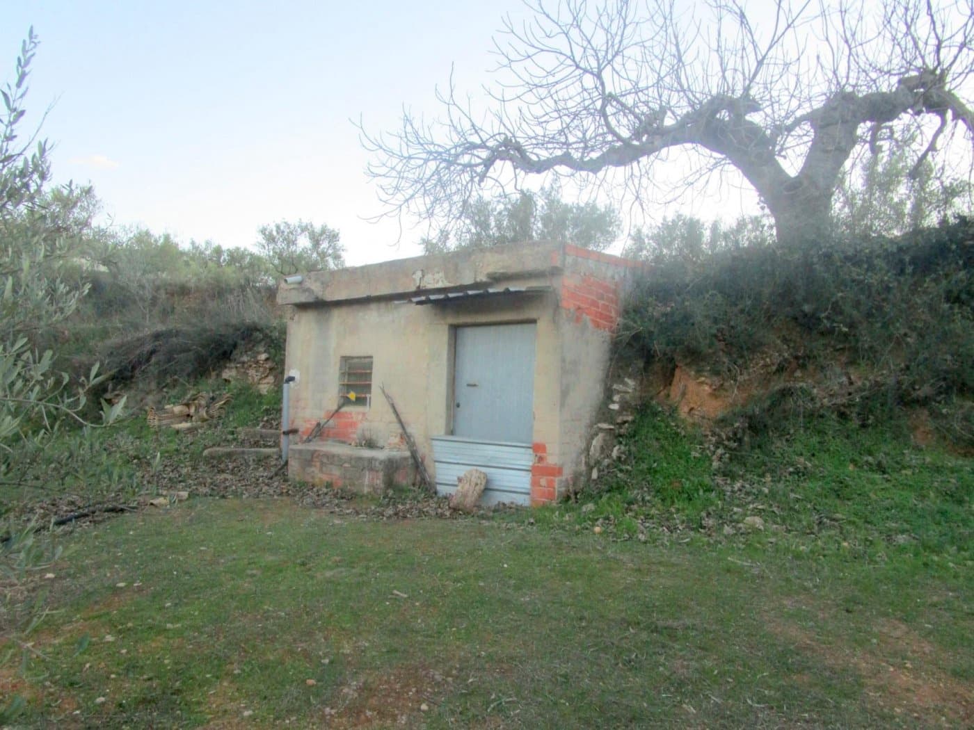 Grunde uden byggetilladelser til salg i Moixent - € 30.000 (Ref: 6181873)