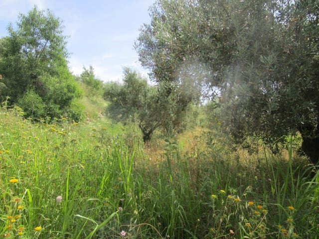 2 chambre Finca/Maison de Campagne à vendre à Moixent - 45 000 € (Ref: 6906566)