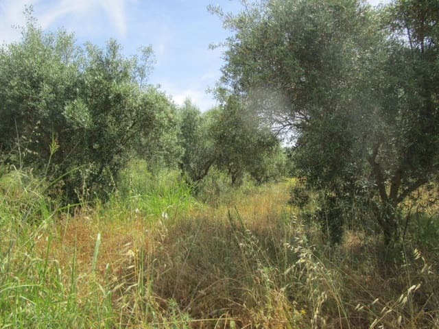 2 chambre Finca/Maison de Campagne à vendre à Moixent - 45 000 € (Ref: 6906566)