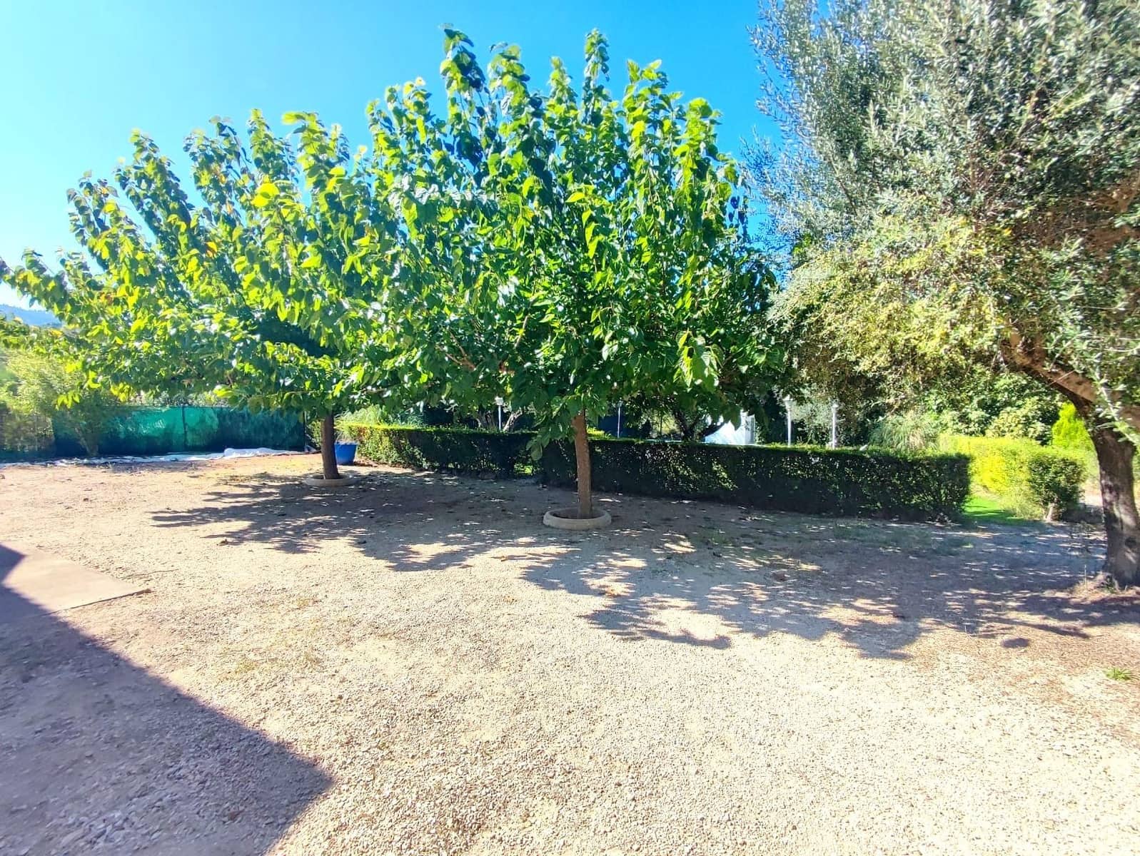 3 slaapkamer Villa te koop in Xativa met zwembad garage - € 300.000 (Ref: 8168943)