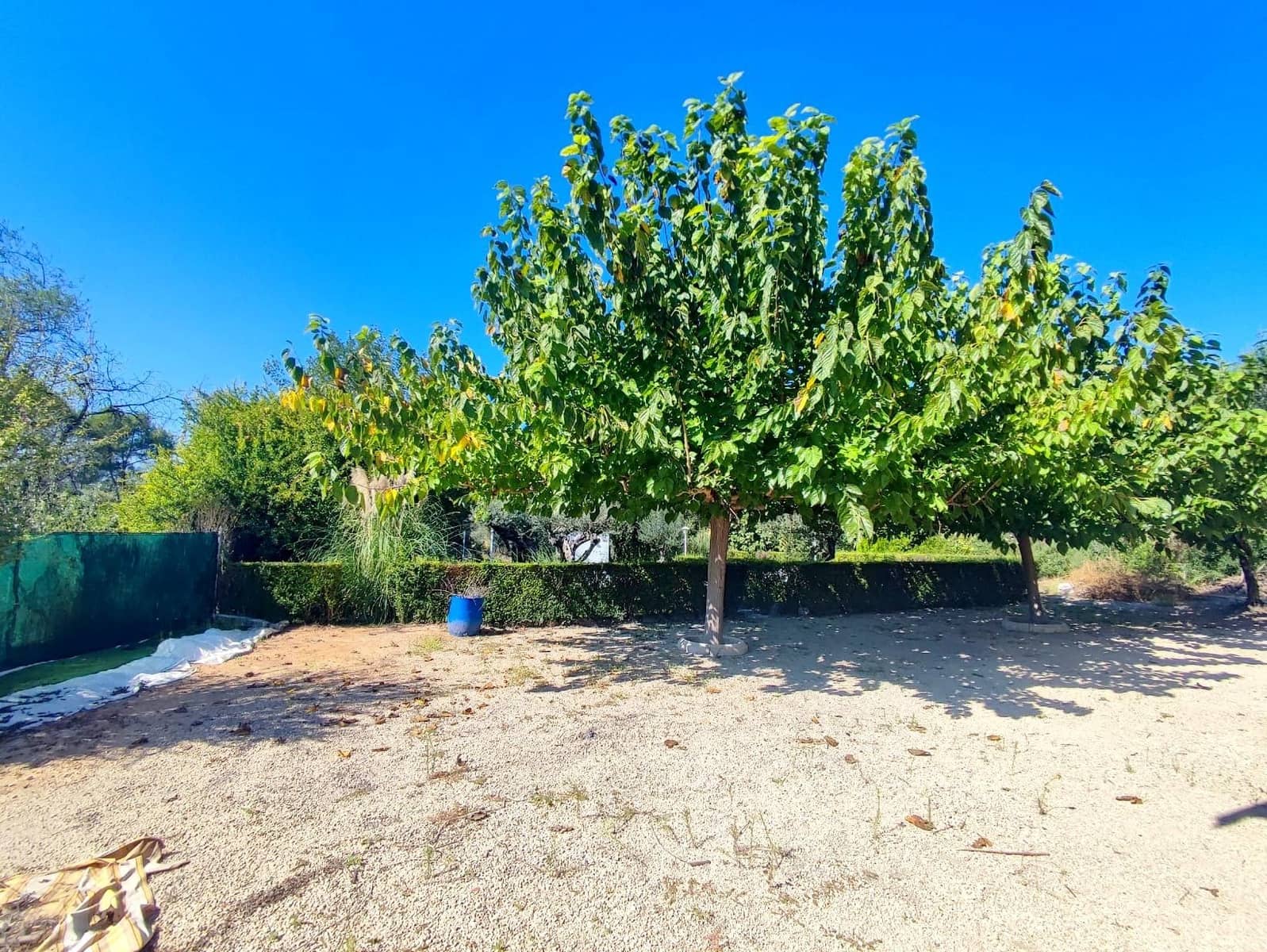 3 slaapkamer Villa te koop in Xativa met zwembad garage - € 300.000 (Ref: 8168943)