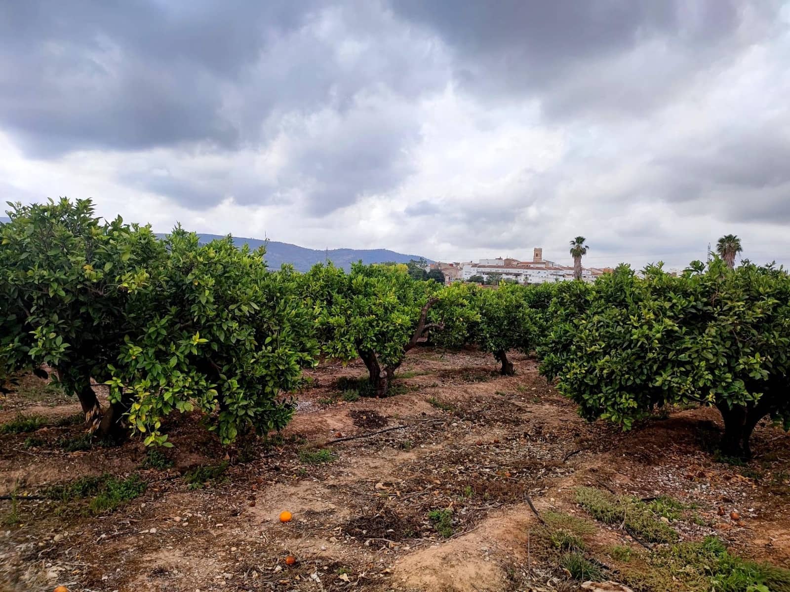 Grunde uden byggetilladelser til salg i Canals - € 33.000 (Ref: 8430654)