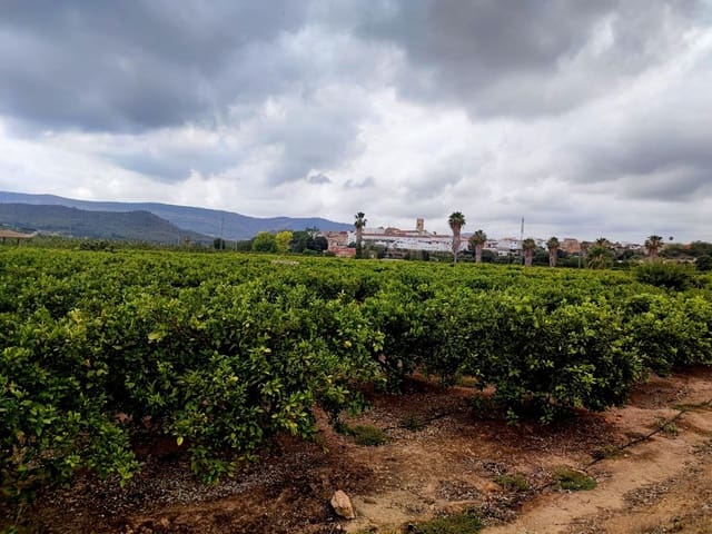 Grond te koop in Canals - € 33.000 (Ref: 8430654)