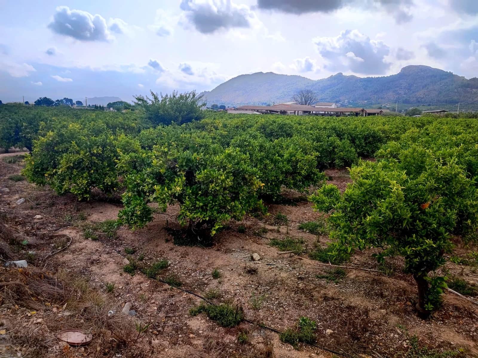 Grunde uden byggetilladelser til salg i Canals - € 33.000 (Ref: 8430654)