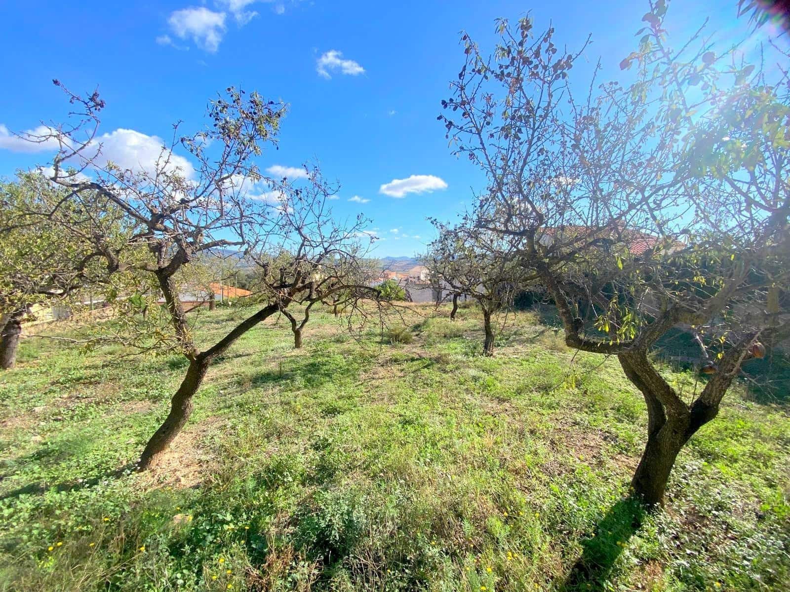 5 soveværelse Finca/Landehus til salg i La Font de la Figuera - € 180.000 (Ref: 8623552)
