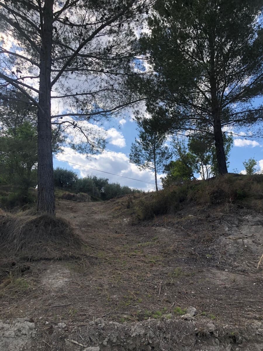 Grunde uden byggetilladelser til salg i Xativa - € 40.000 (Ref: 9057706)