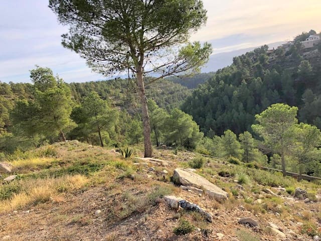 Tomt till salu i Moixent - 30 000 € (Ref: 9108813)