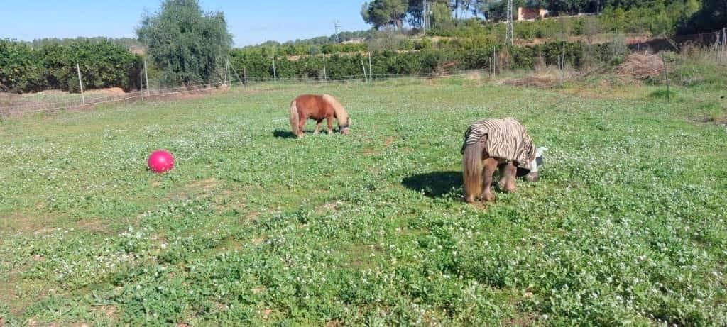 3 bedroom Villa for sale in Llocnou d'en Fenollet with pool - € 243,000 (Ref: 9548345)