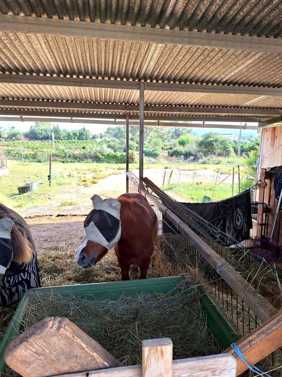 3 bedroom Villa for sale in Llocnou d'en Fenollet with pool - € 243,000 (Ref: 9548345)