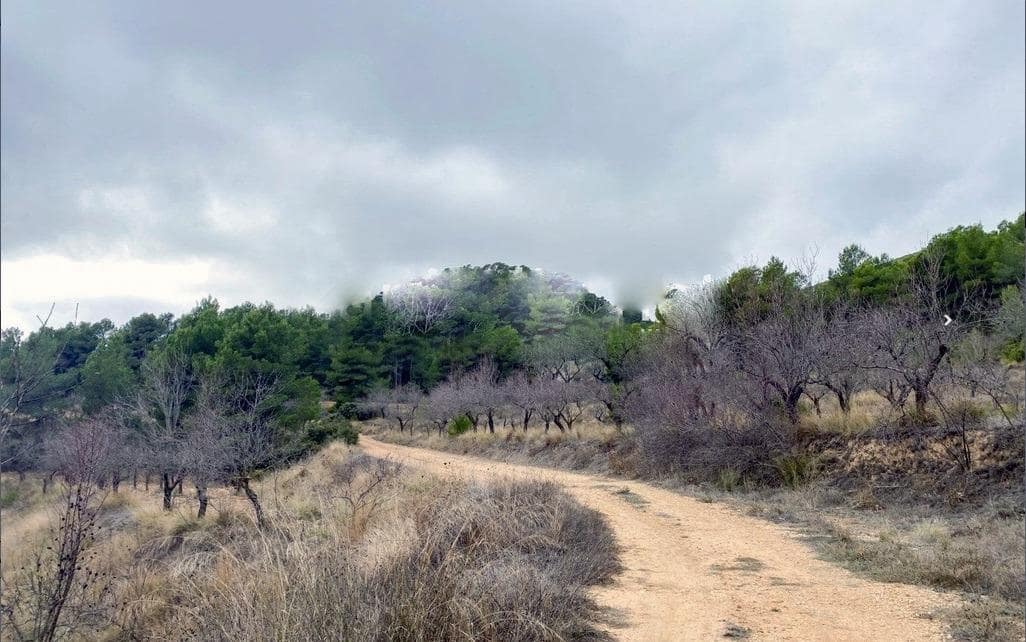 6 bedroom Finca/Country House for sale in La Font de la Figuera - € 360,000 (Ref: 9715008)