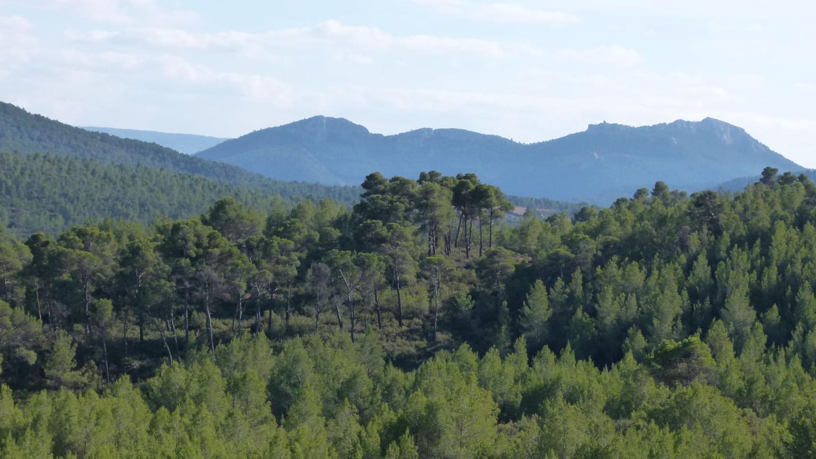 6 bedroom Finca/Country House for sale in La Font de la Figuera - € 360,000 (Ref: 9715008)