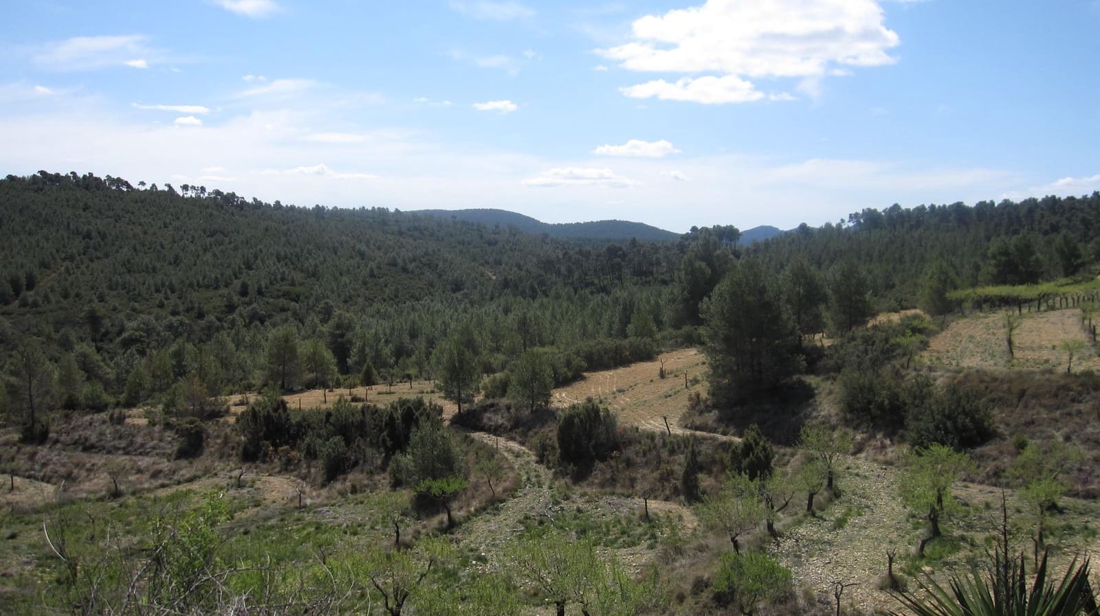 6 bedroom Finca/Country House for sale in La Font de la Figuera - € 360,000 (Ref: 9715008)