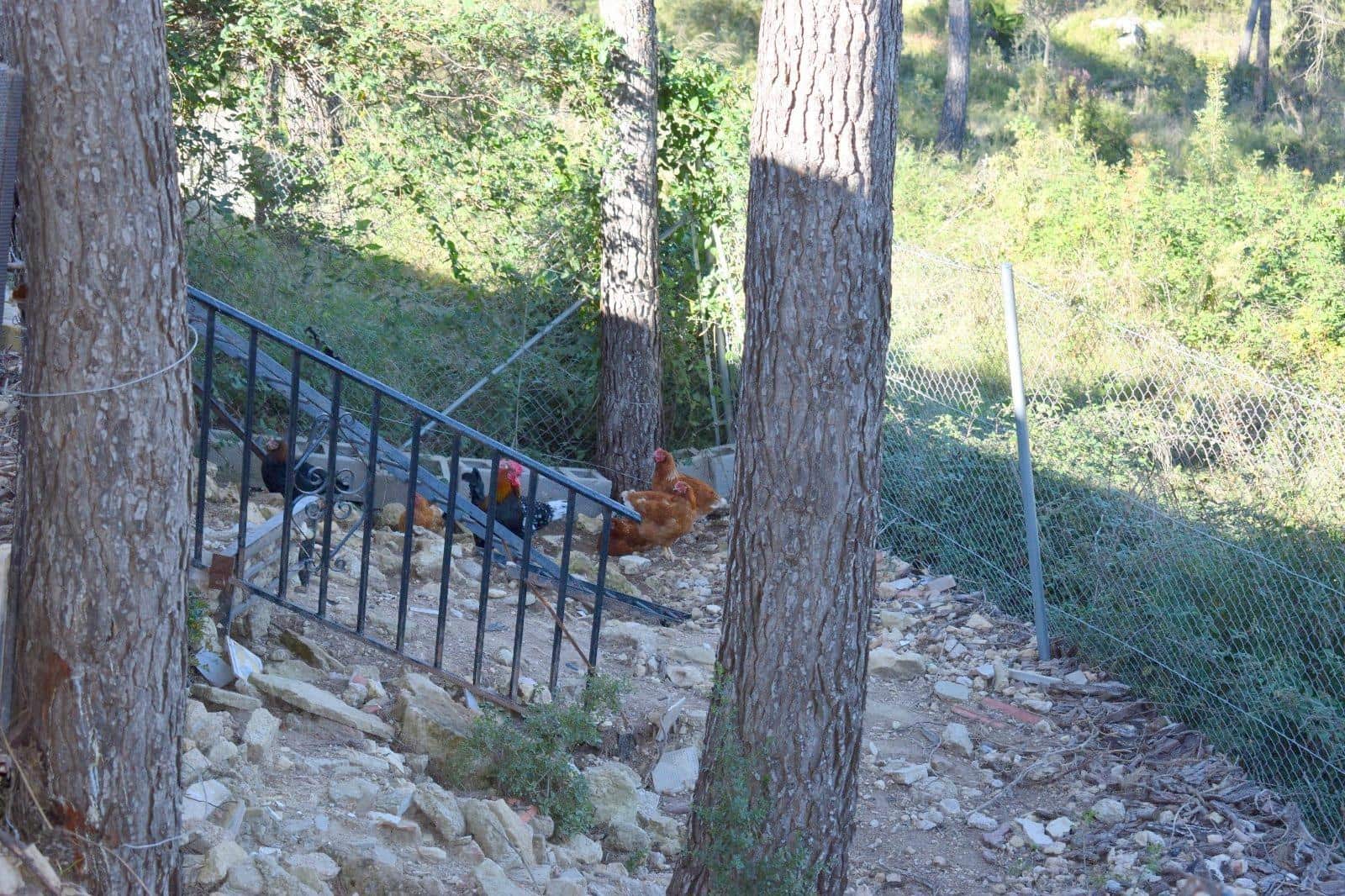 Chalet de 4 habitaciones en Moixent en venta con piscina garaje - 300.000 € (Ref: 9741836)