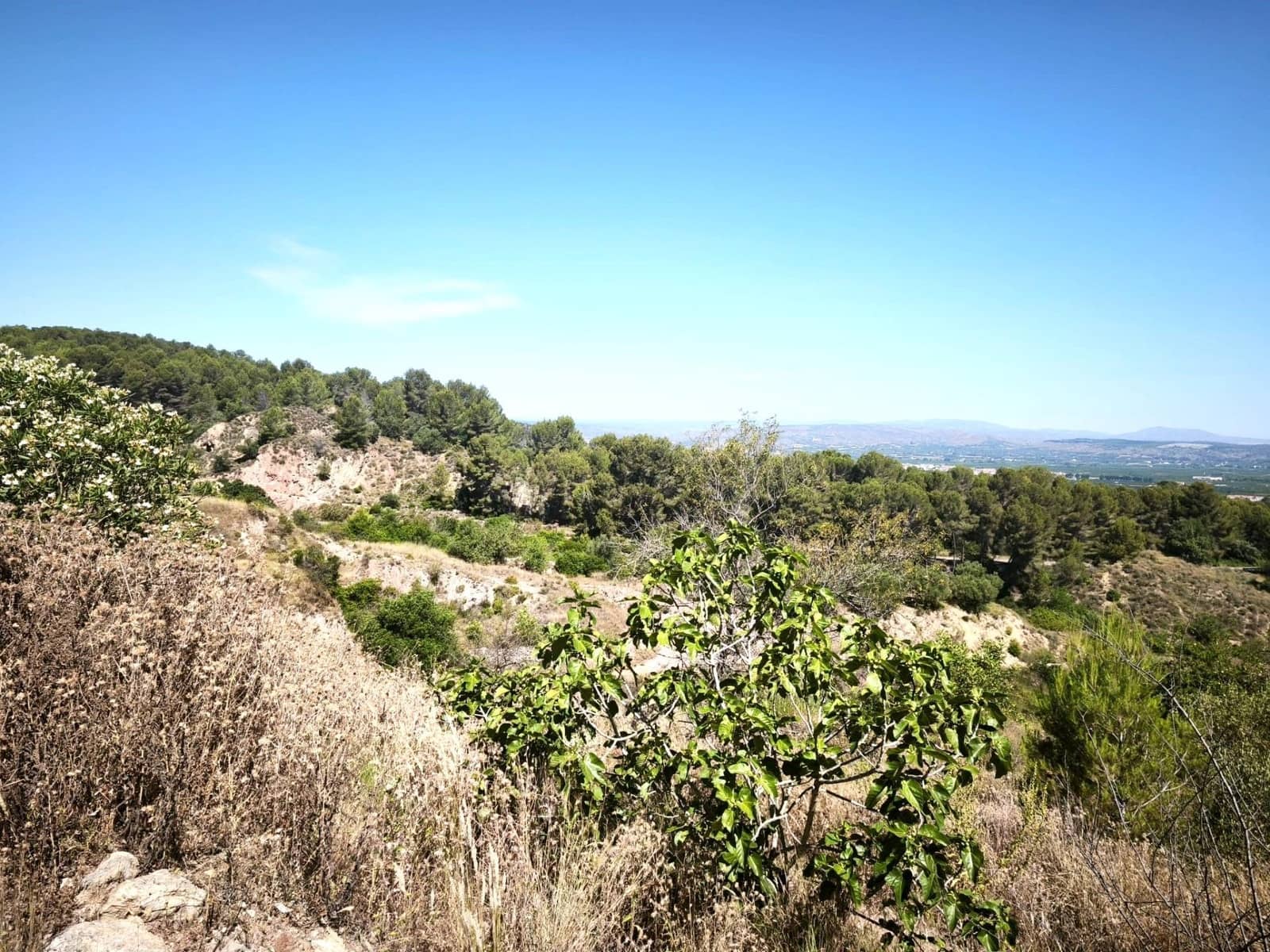 Finca/Country House for sale in Llosa de Ranes - € 59,000 (Ref: 9975526)