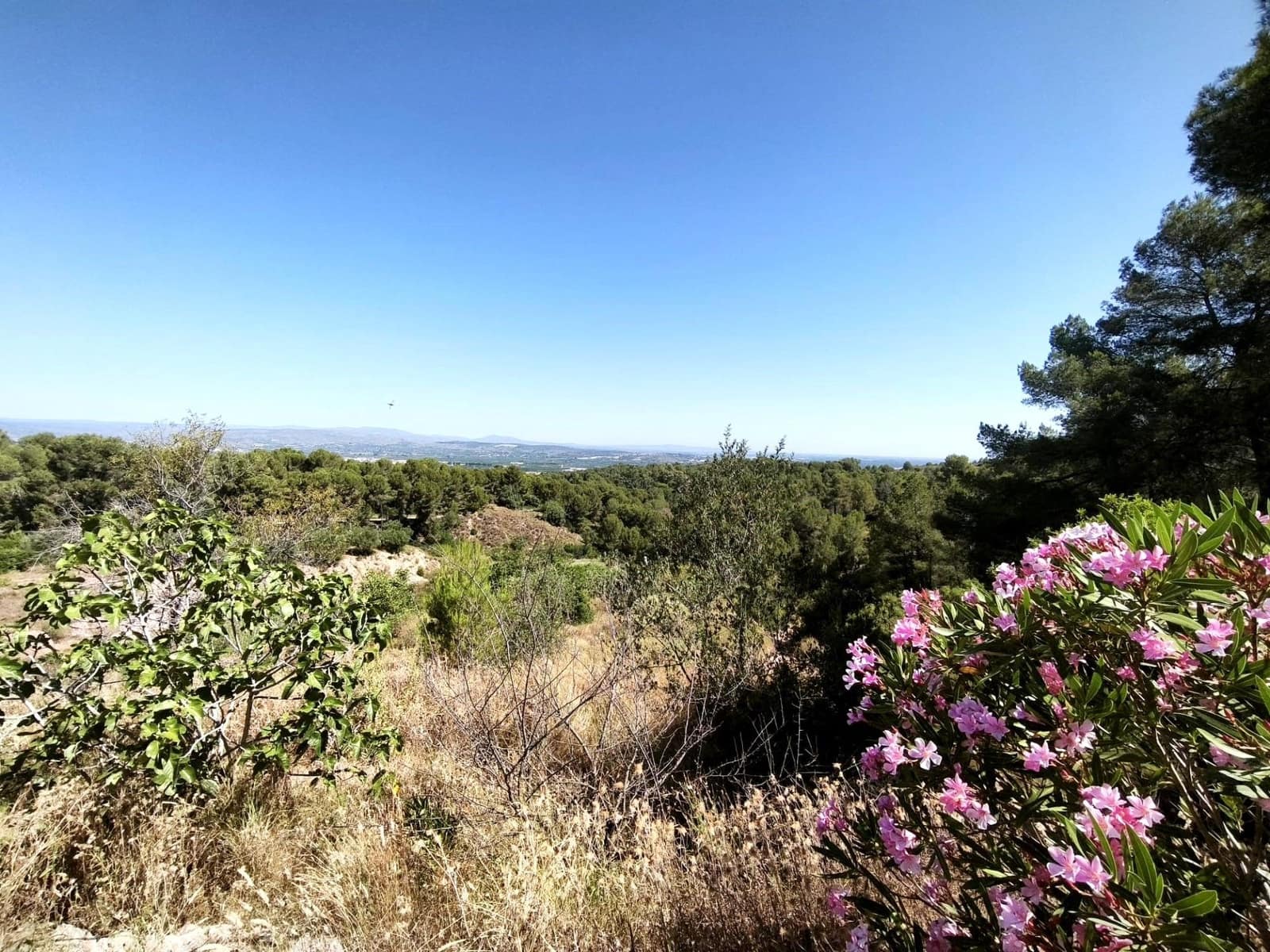Finca/Country House for sale in Llosa de Ranes - € 59,000 (Ref: 9975526)