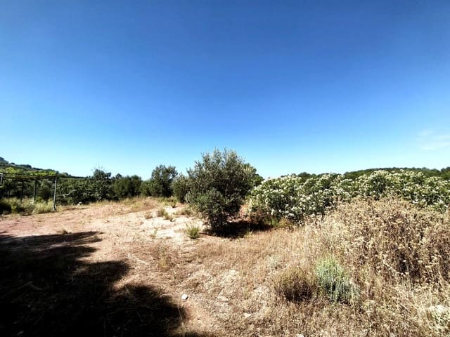 Finca/Landehus til salg i Llosa de Ranes - € 59.000 (Ref: 9975526)